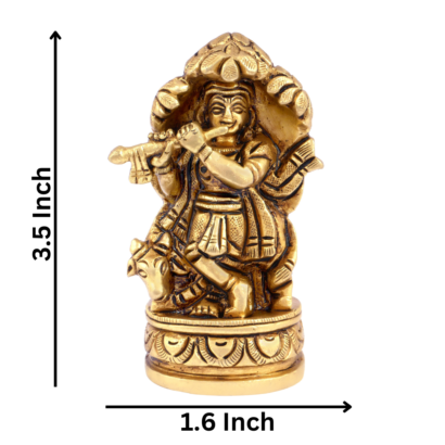 Krishna Kadamba Tree