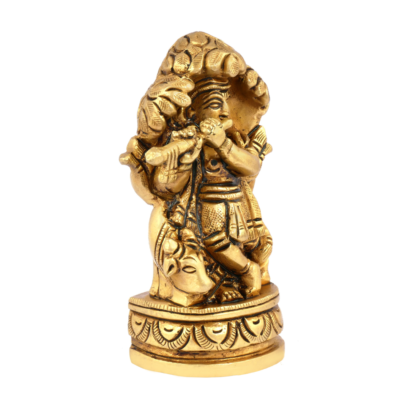 Krishna Kadamba Tree