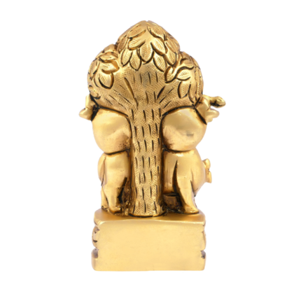Krishna Kadamba Tree