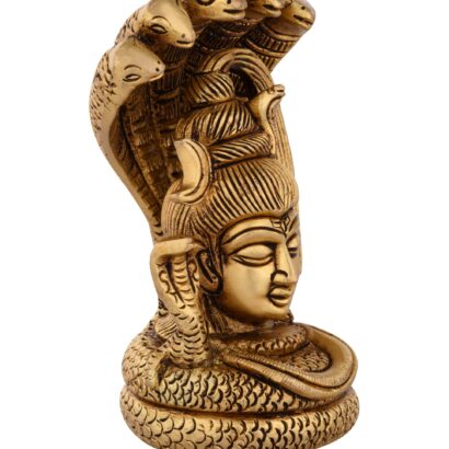 Lord Shiva Face