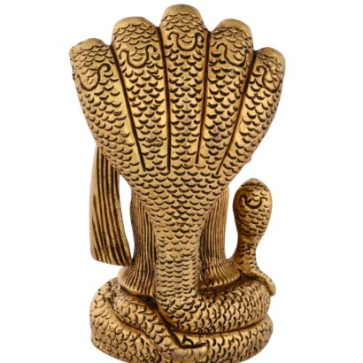Lord Shiva Face