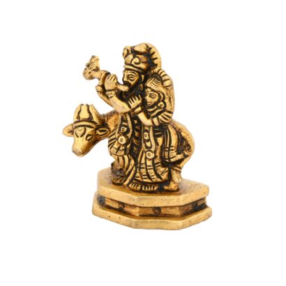 radha krishna idol