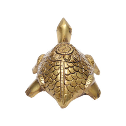 turtle online