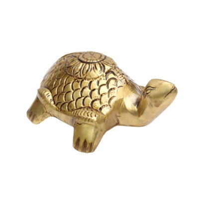 turtle online