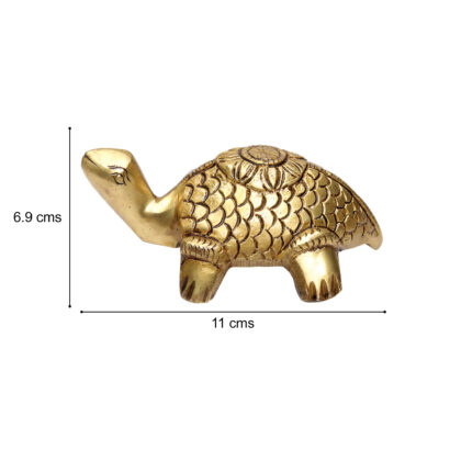 turtle online