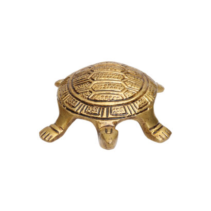 brass tortoise