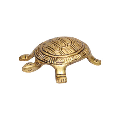 brass tortoise