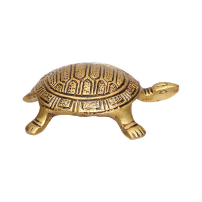 brass tortoise