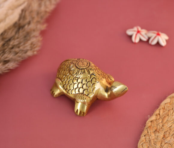 turtle online
