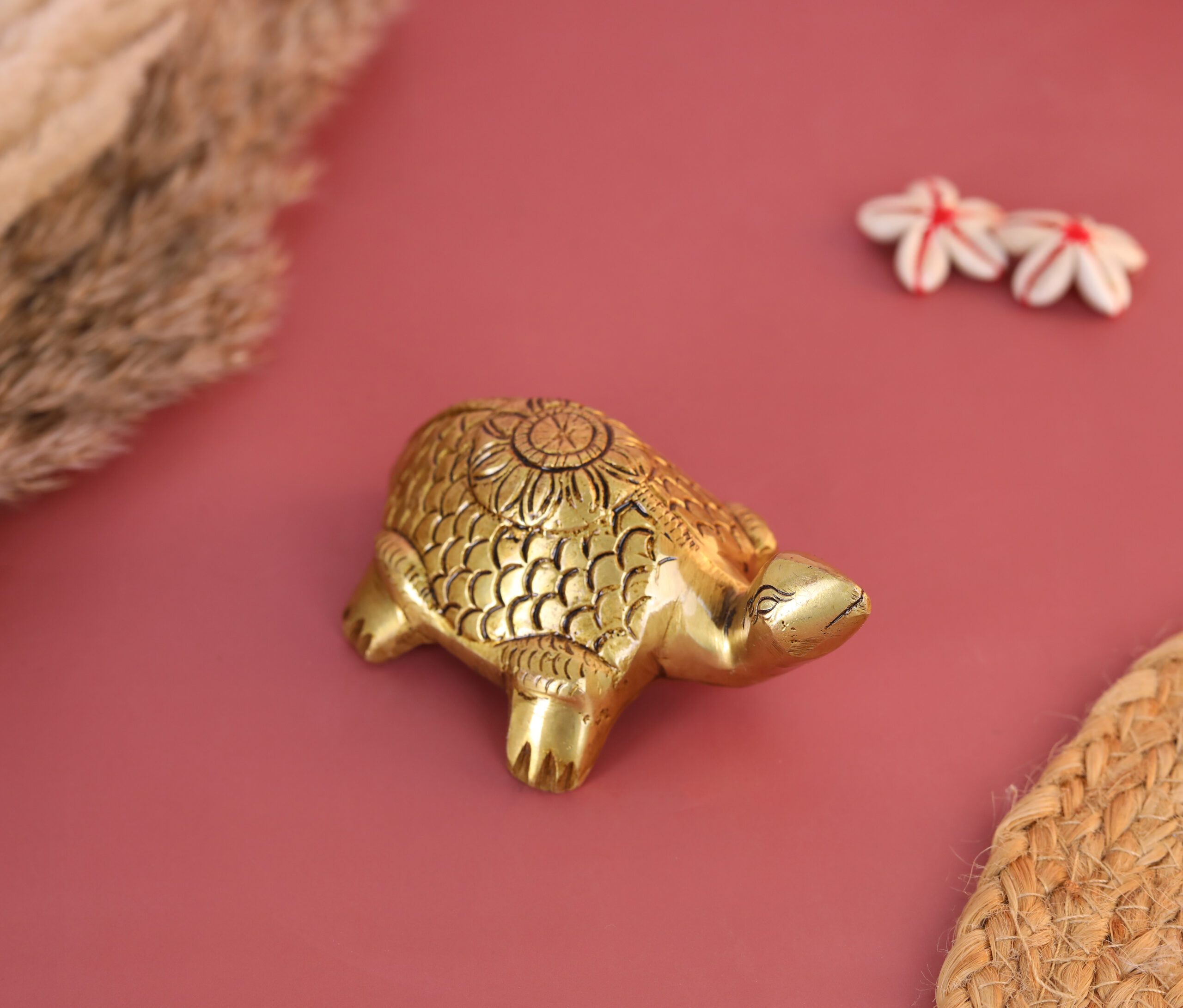 turtle online