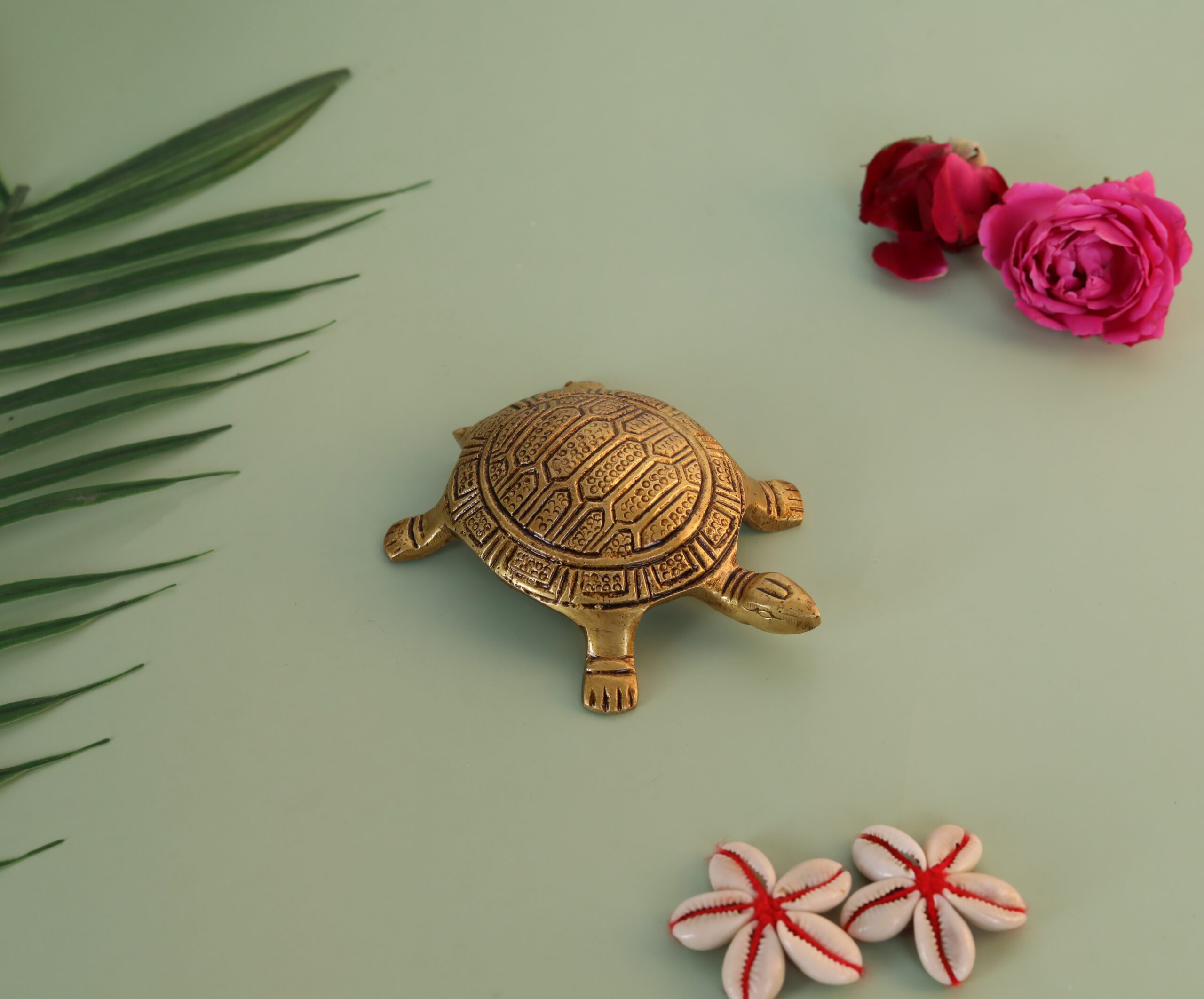 brass tortoise